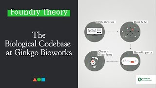 FT023  The Biological Codebase at Ginkgo Bioworks [upl. by Aivirt687]