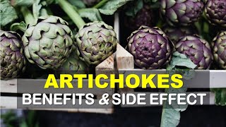 Artichoke Benefits and Side Effects [upl. by Ebby]