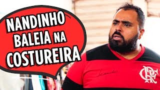 NANDINHO BALEIA NA COSTUREIRA [upl. by Archambault]