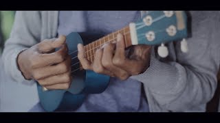 CANT HELP FALLING IN LOVE  ELVIS PRESLEY Ukulele Cover By Tereza [upl. by Hauhsoj]