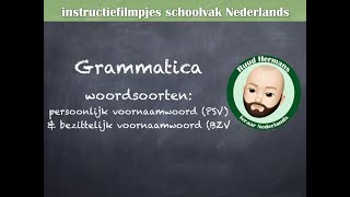 Grammatica woordsoorten  persoonlijk voornaamwoord PSV en bezittelijk voornaamwoord BZV [upl. by Venice]