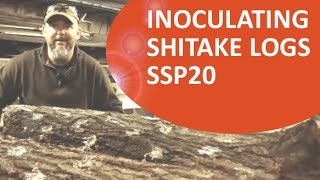 Inoculating Shitake Mushroom Logs SSP20 [upl. by Norak]