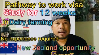 Pathway to work visa study for 12 weeks in Dairy farming at NTAnational trade academy [upl. by Orville]