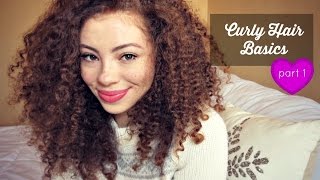 Curly Hair Basics Part 1  Porosity LOC Moisture [upl. by Ecirtram]