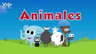 Animales para niños en español [upl. by Rance]