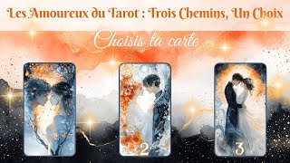 🌈Choix  Harmonie et Alchimie🌈 🦋 Guidance à 3 Choix 🦋 [upl. by Nos]