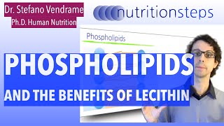 Phospholipids and The Benefits Of Lecithin [upl. by Aiclid]