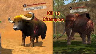 The Tiger Game  Kill 13 Champions  thetigergame newvideo champianskill [upl. by Ataynik]