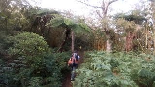 Randonnée de la roche écrite à la Réunion [upl. by Nairahcaz]