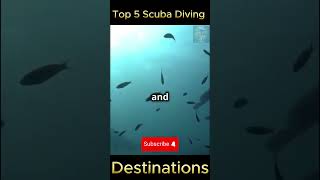 Top 5 Scuba DivingDestinations top destination travel diving facts shortvideo trending 2024 [upl. by Mure]