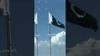 Bharat vs Pakistan bharatvspakistan shorts youtubeshorts indianarmy factsinhindi [upl. by Ynoffit]