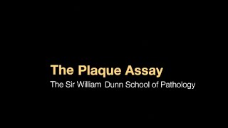 The plaque assay [upl. by Hadsall]