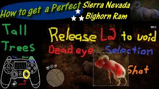 RDR2 How to get a Perfect Sierra Nevada Bighorn Ram [upl. by Zavras]