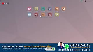 Como gestionar Lotes y Series Inventario Odoo 14 tutorial [upl. by Aiselad534]