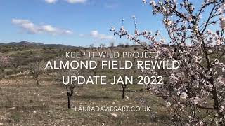 Jan 2022 Earthship Almond field rewild update [upl. by Notsag673]