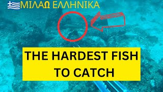 This Is The Hardest Fish To Catch  Spearfishing Greece [upl. by Herwick420]