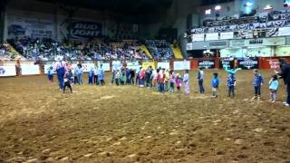 Fort Worth Rodeo Kids Chasing a sheep [upl. by Llertnov717]