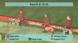 Crayford Greyhounds Races on 22nd October 2024 [upl. by Jeuz]