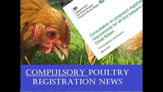 Legal Registration for all Chickens DEFRA Consultation [upl. by Lunna]