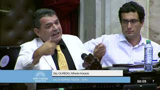 Diputado Olmedo Alfredo Horacio  Sesión  18122017  PL [upl. by Wilkens50]