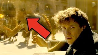 Grindelwald  Fantastic Beasts and Where to Find Them edit shorts [upl. by Naras]