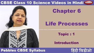 Class 10  CBSE NCERT  Science  Chapter 6  Life Processes  Topic 1  Introduction  Hindi Video [upl. by Mir]