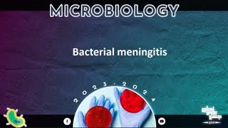 L1 Bacterial meningitis Microbiology [upl. by Akin]