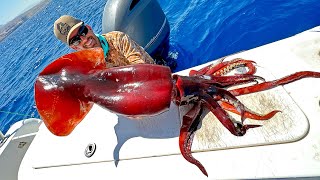 I Caught a Giant Squid in the Middle East [upl. by Semajwerdna593]