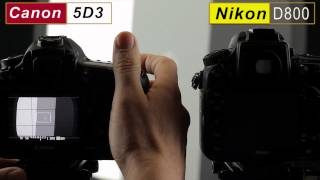 Nikon D800 Greenish LCD Tint Due to White Balance Issue [upl. by Bisset]