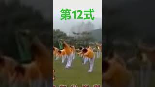 430pm［12th 第十二式］弯腰微仰［脊椎拉伸］［胸骨柔软背部训练］ [upl. by Haroved]