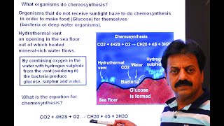 First Year  Chapter 12  Nutrition  Part 2  Chemotrophic Nutrition  Chemosynthesis [upl. by Ano646]