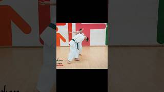 Martial arts near me  Karate classes for adults  selfdefense classes for adults near me karate [upl. by Sailesh849]