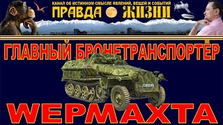 SdKfz 251 главный бронетранспортёр вермахта [upl. by Bartram]