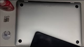 13quot inch 2019 MacBook Pro A2159 Disassembly LCD Screen Assembly Wireless Antenna Replacement Repair [upl. by Yila27]