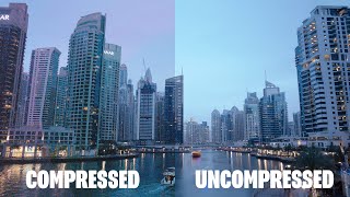 RAW Compressed vs Uncompressed sony a7iii [upl. by Thgiled]