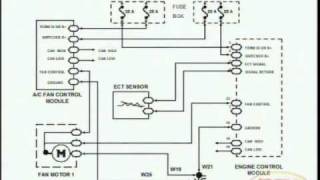 Cooling Fans amp Wiring Diagram [upl. by Stacie]