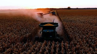 Beautiful Day To Harvest Corn 13 [upl. by Yklam]