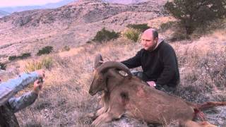 Gage Aoudad amp Mule Deer Hunt HD [upl. by Otreblasiul240]