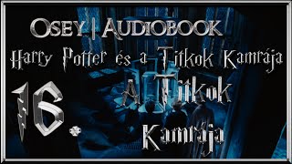 Harry Potter és a Titkok Kamrája hangoskönyv  16 fejezet [upl. by Turoff806]