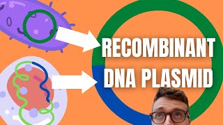 Recombinant DNA Technology Explained For Beginners [upl. by Rustie]