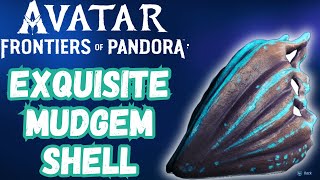 Avatar Frontiers Of Pandora  Exquisite Mudgem Shell [upl. by Latimer325]