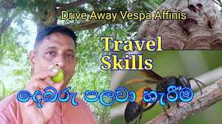 Travel Skills How to Remove Vespa Affinis දෙබරු පලවා හැරීම📽️ No 70 [upl. by Kuehn]