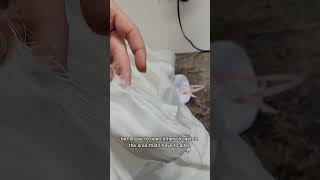 Bridal sewing challenge fraying fabric [upl. by Newhall]