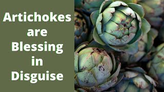 Artichokes Top 8 Health Benefits [upl. by Mariellen]