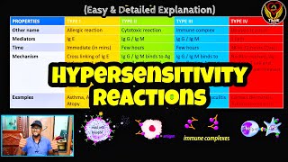 Hypersensitivity Reactions Type 1234  Allergy amp Treatment  Tamil  Immunology  ThiNK Biology [upl. by Akemal273]