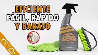 Cómo Hacer REPELENTE PARA PERROS Casero Fácil Y Rápido  Evitar Que Mi Perro Se Orine En Casa [upl. by Roosnam]