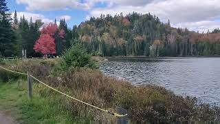 Lauzon Lake Picnic  Parc National DU Mont Tremblant [upl. by Cristal]