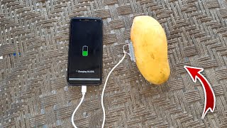 How to charge mobile With Mango  DIY Mango charging [upl. by Greggs763]