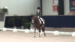 Proef van Rosanne van Stuivenberg op het NK Indoor Dressuur in Utrecht [upl. by Ttevi]