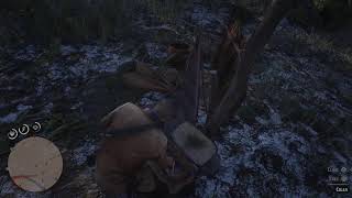 Lets Play Red Dead 2 Favored Sons [upl. by Maxa641]